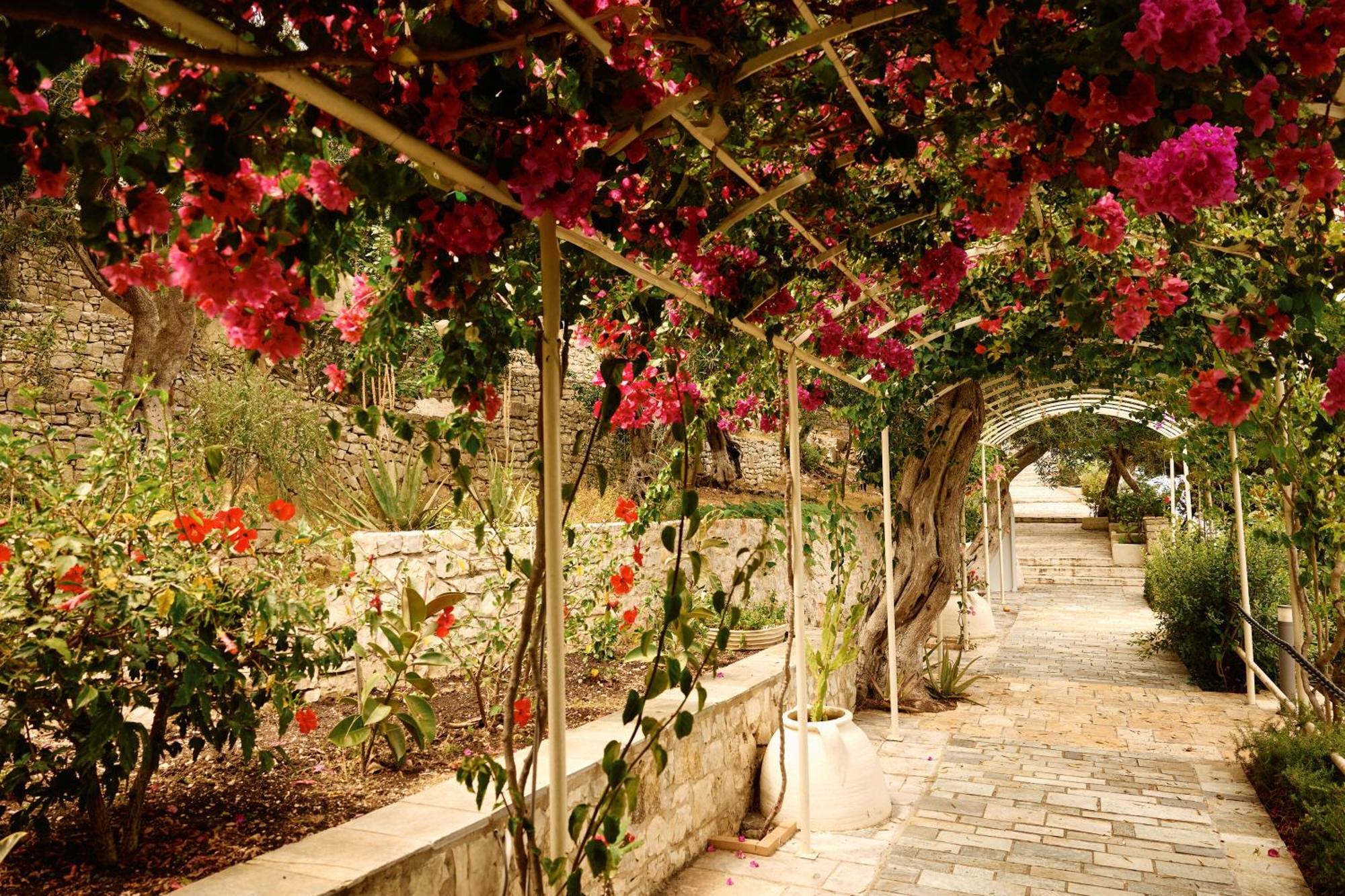 Agali Hotel Paxos Ozias Ngoại thất bức ảnh